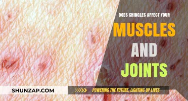 Exploring the Impact of Shingles on Muscle and Joint Health
