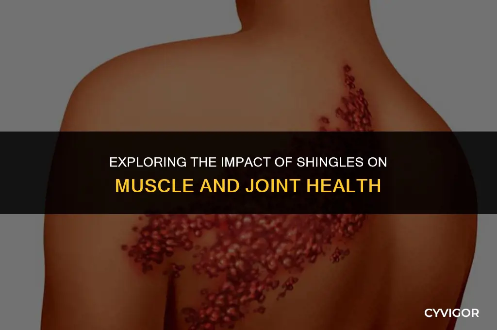 does shingles affect your muscles and joints