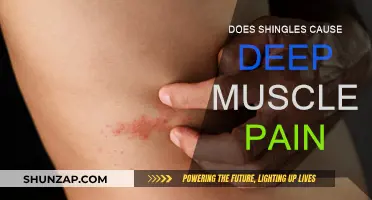 Shingles and Deep Muscle Pain: Is There a Link?