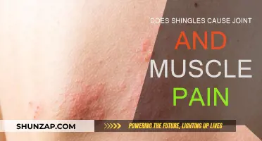Shingles: Joint and Muscle Pain Explained