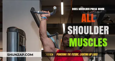 Does Shoulder Press Engage Every Shoulder Muscle? A Comprehensive Analysis