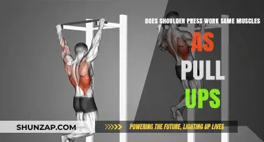 Shoulder Press vs. Pull-Ups: Targeting Similar Muscles or Different Groups?
