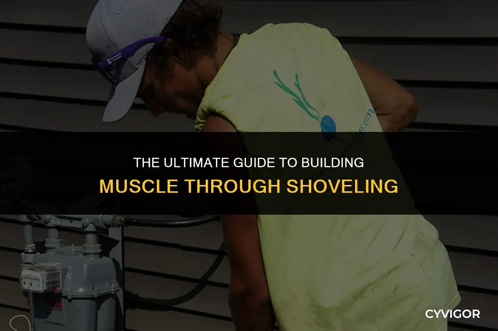 does shoveling build muscle