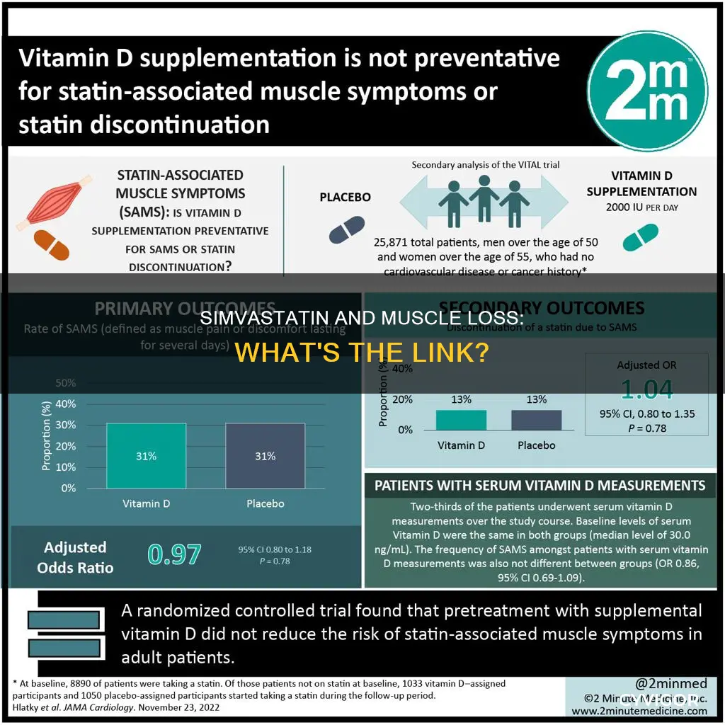 does simvastatin cause muscle loss