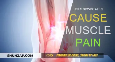 Simvistaten Side Effects: Muscle Pain Explained