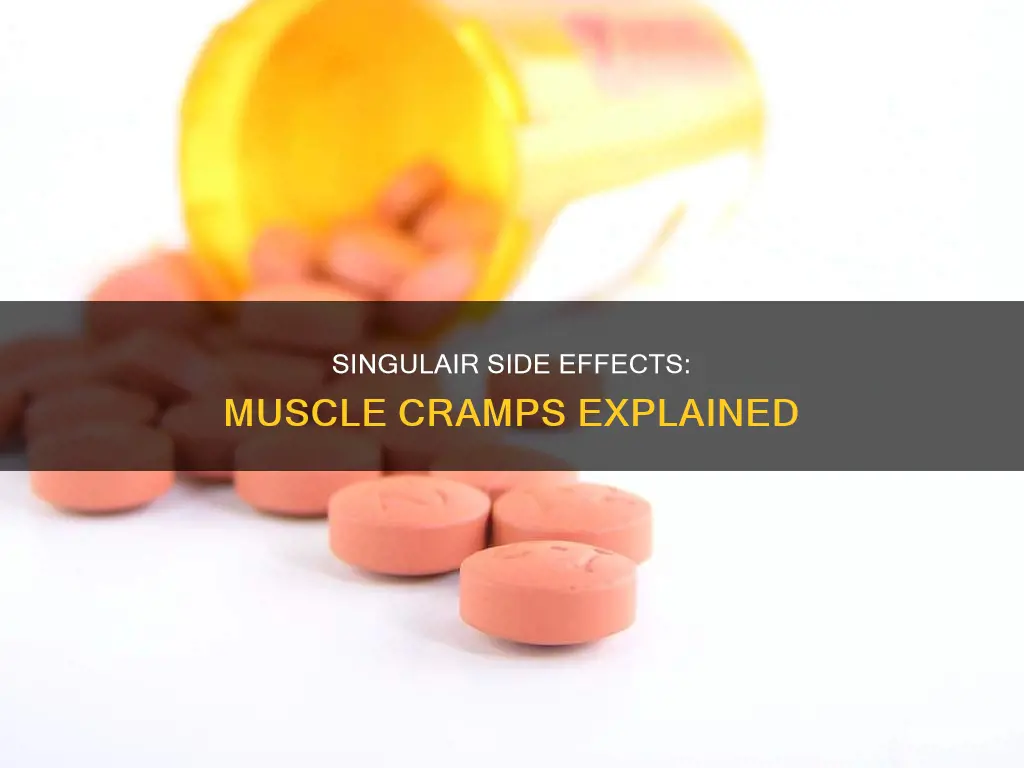 does singulair cause muscle cramps