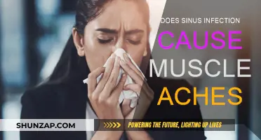 Sinus Infection and Muscle Aches: What's the Link?