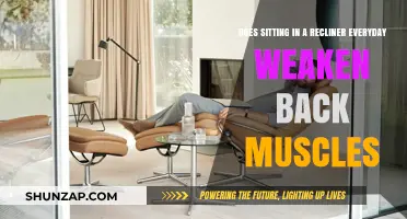 Recliner Use and Back Health: Separating Fact from Fiction