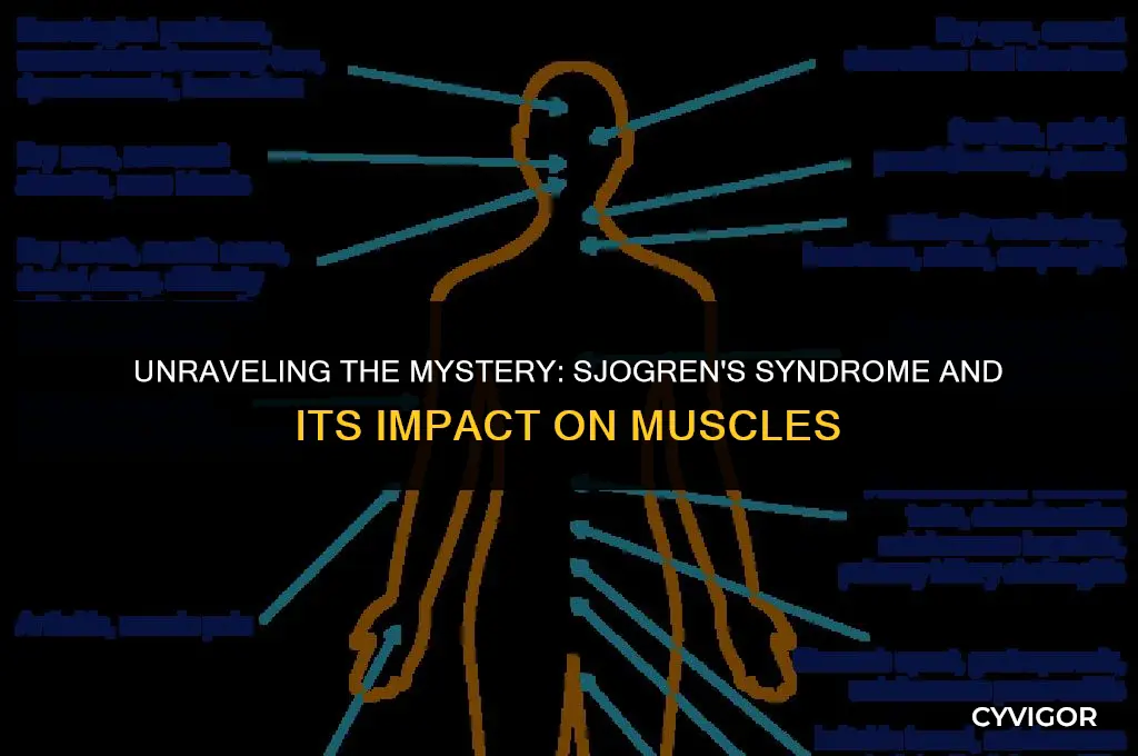 does sjogren
