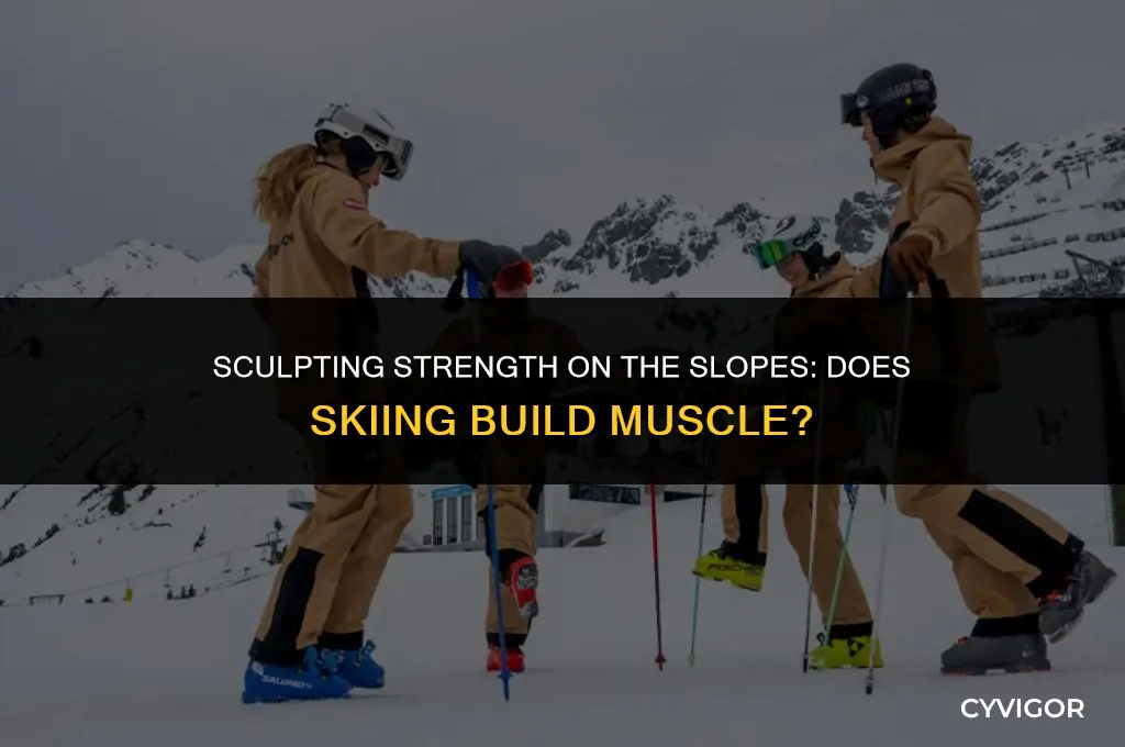 does skiing build muscle
