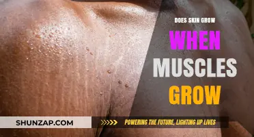 Does Skin Stretch When Muscles Grow? Unraveling the Science Behind It