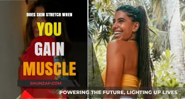 Does Muscle Growth Stretch Skin? Understanding Body Changes and Flexibility