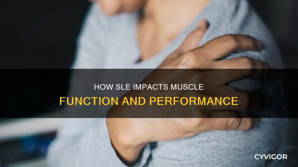 does sle effect your muscles