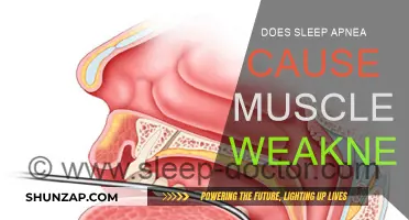 Sleep Apnea: Muscle Weakness and Fatigue Explained