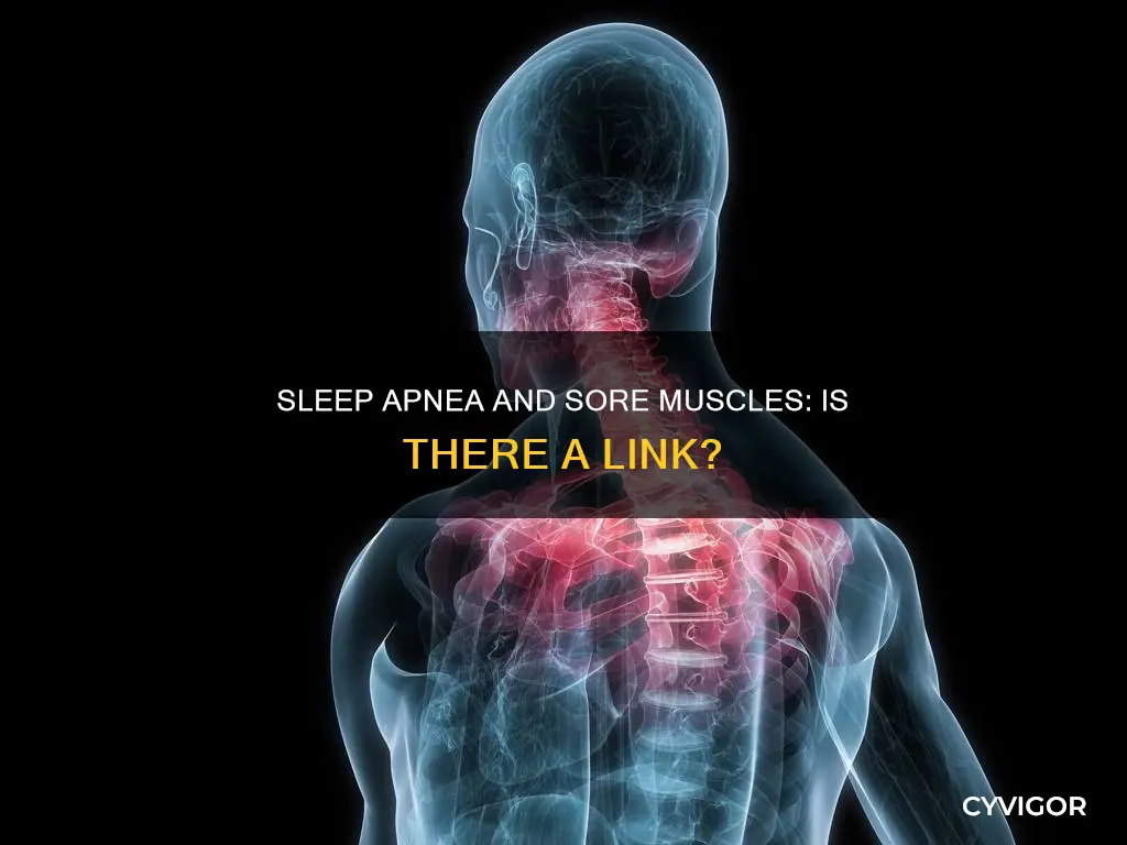 does sleep apnea cause sore muscles