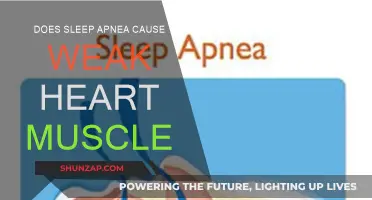 Sleep Apnea: Weak Heart Muscle Link Explained