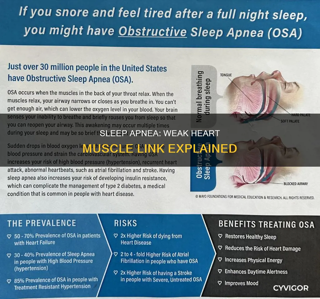 does sleep apnea cause weak heart muscle