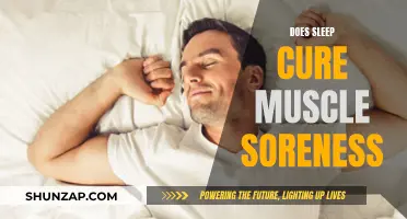Sleep and Muscle Soreness: A Healing Connection?