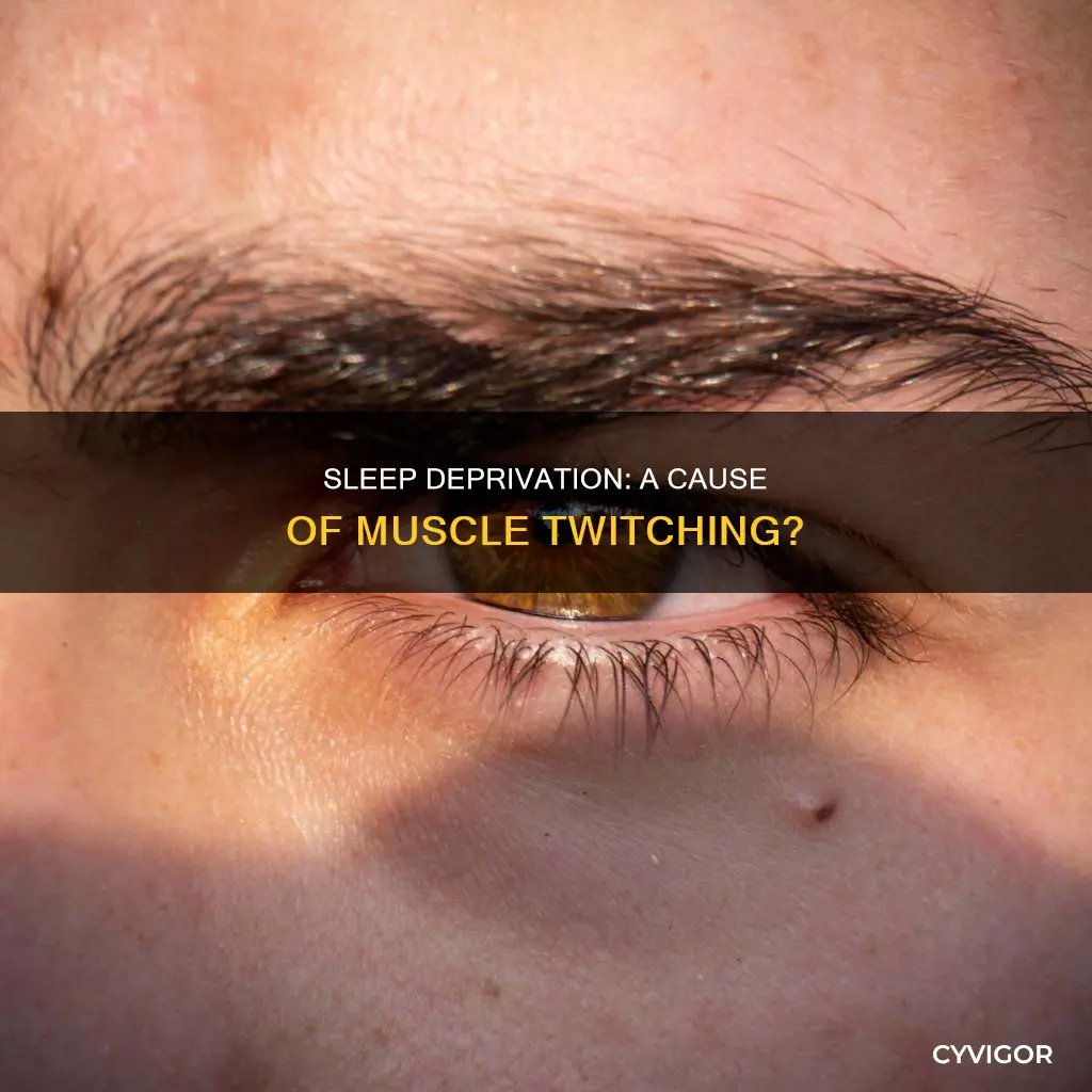 does sleep dep cause muscle twitching