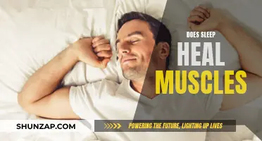 Sleep's Healing Power: Muscle Recovery Explained