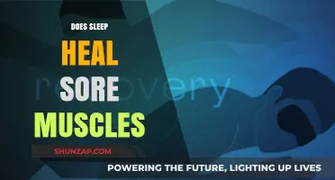Sleep and Muscle Recovery: Can Rest Heal Sore Muscles?