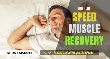 Sleep's Role in Muscle Recovery: What's the Science?