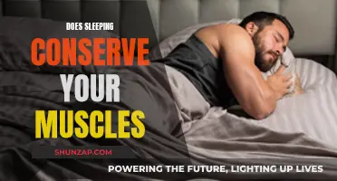 Sleep's Role in Muscle Conservation and Repair