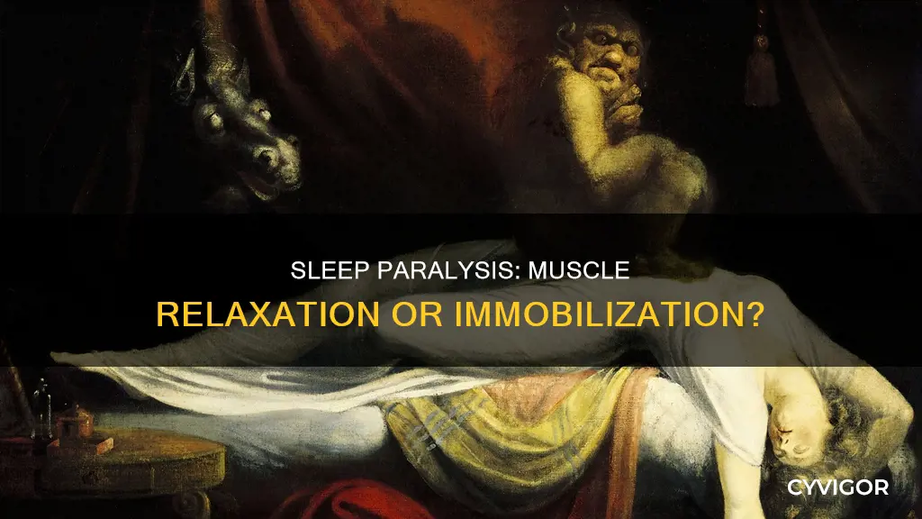 does sleeping paralyze muscle