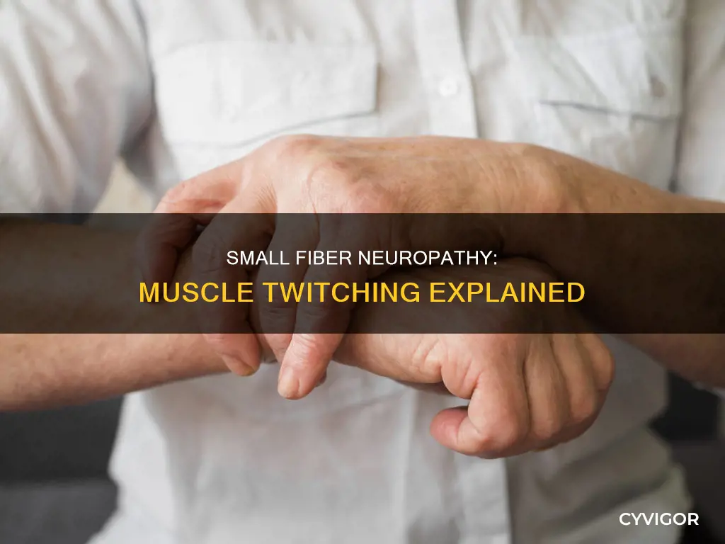 does small fiber neuropathy cause muscle twitching