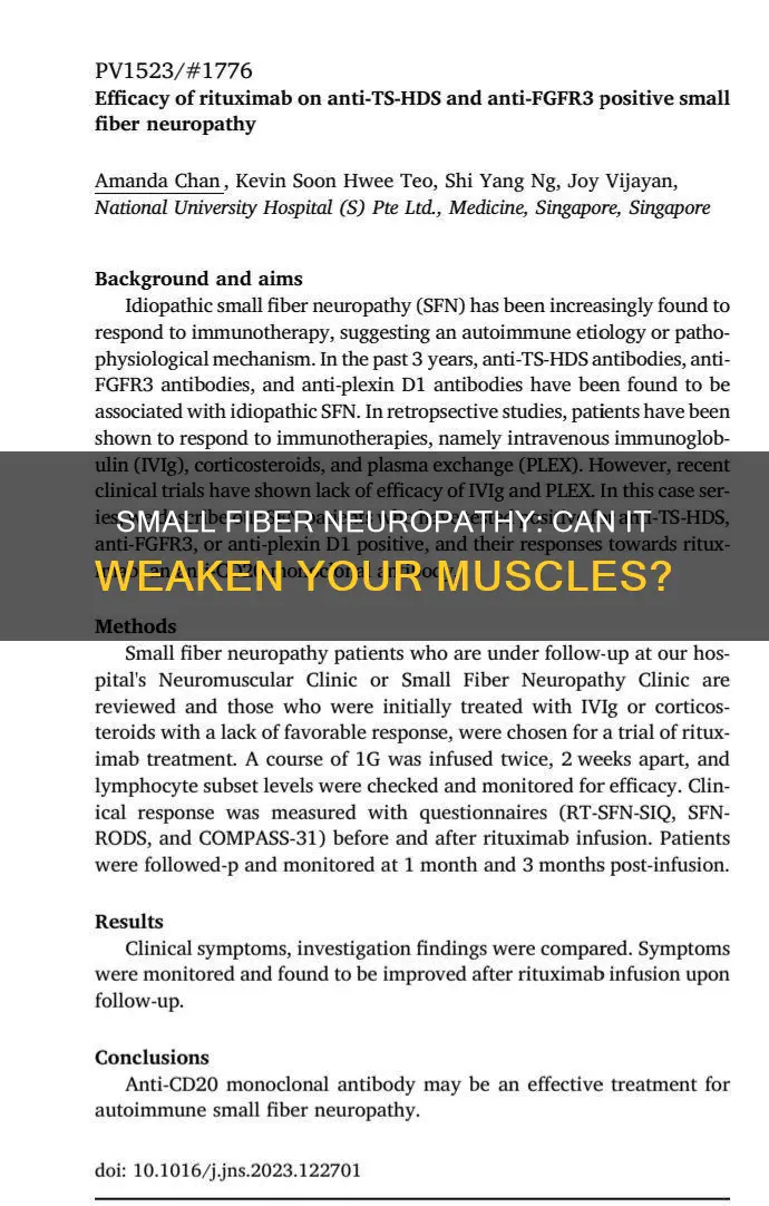 does small fiber neuropathy cause muscle weakness