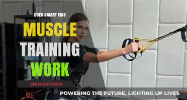 Does Smart EMS Muscle Training Deliver Real Results? A Critical Review