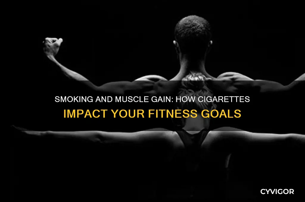 does smoking affect muscle gain