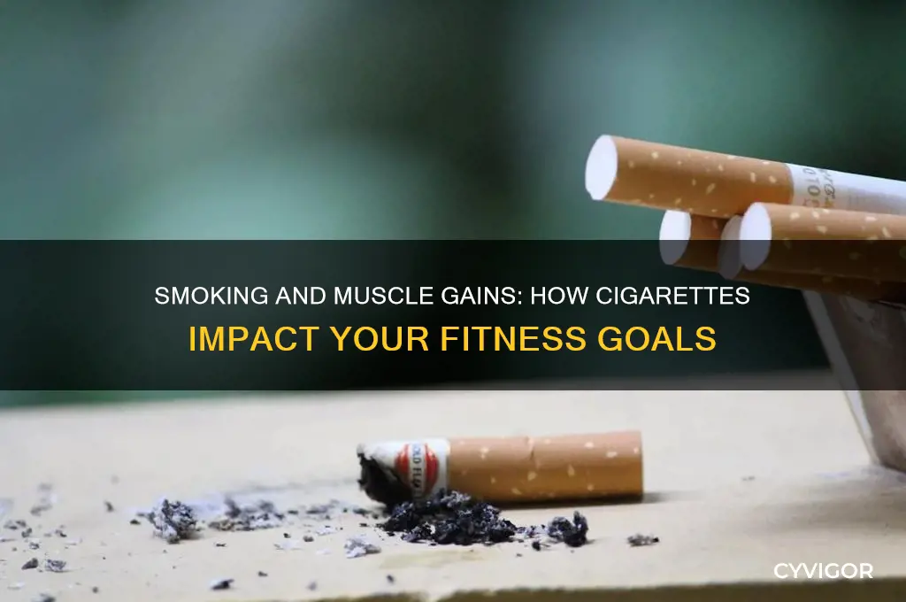 does smoking affect muscle gains