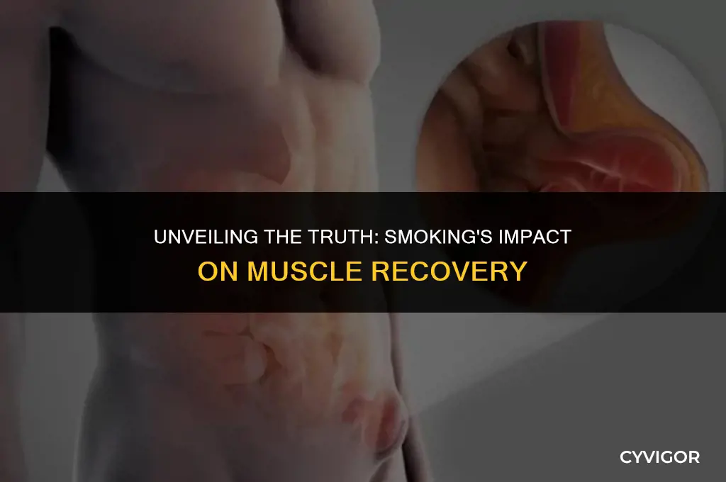 does smoking affect muscle recovery
