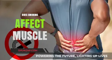 Unveiling the Truth: Smoking's Impact on Muscle Health Explored