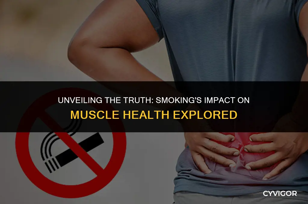 does smoking affect muscle