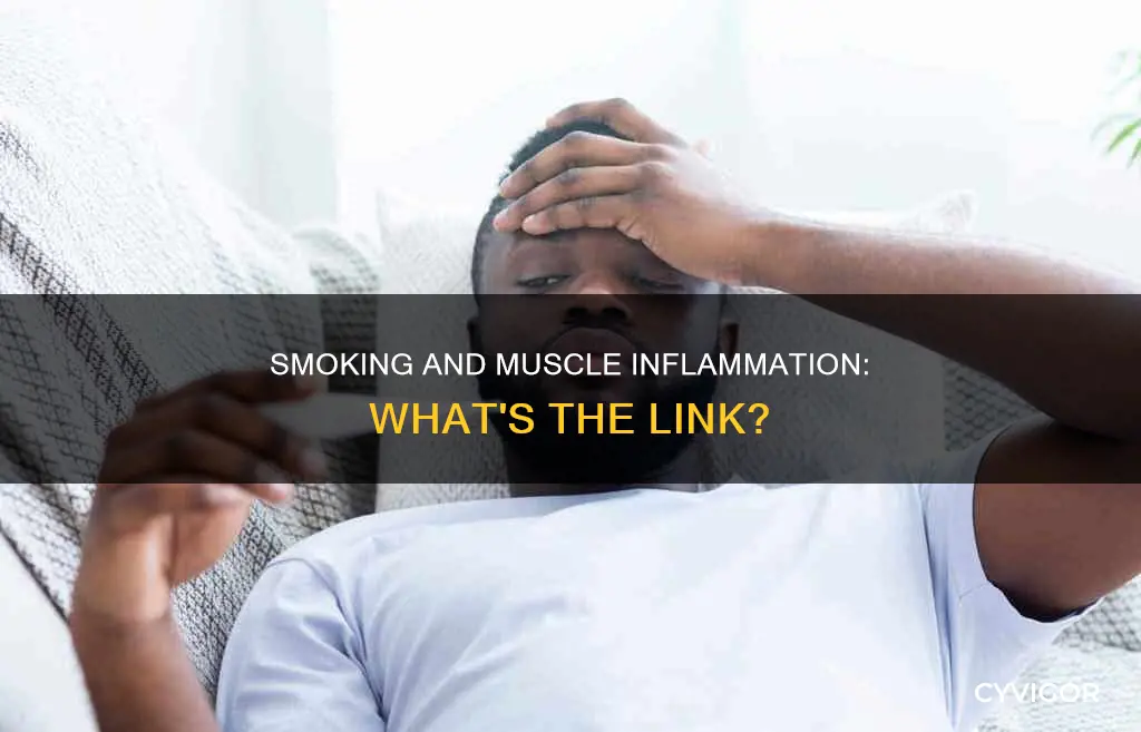 does smoking cause inflammation in muscles
