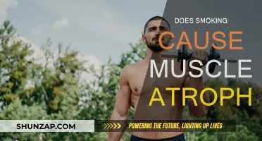 Smoking's Impact: Muscle Atrophy and Degeneration