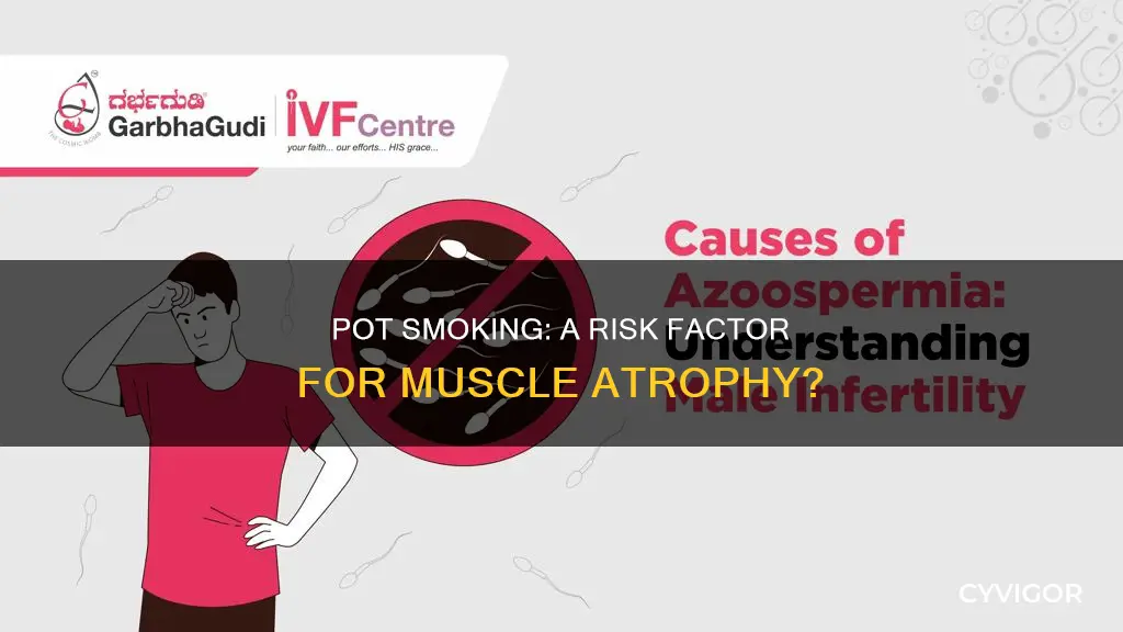 does smoking pot cause muscle atrophy