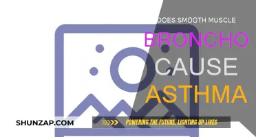 Bronchodilation and Asthma: Smooth Muscle Paradox