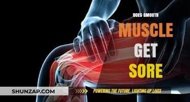 Understanding Smooth Muscle Soreness: Causes and Remedies Explained
