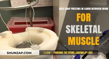 Liquid Nitrogen Snap Freezing: Effective Technique for Preserving Skeletal Muscle?