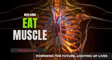 Soda's Impact: Muscle Breakdown and Health Risks