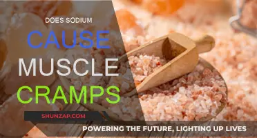 Sodium Intake: Muscle Cramps and How to Prevent Them