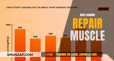 How Sodium Intake Affects Muscle Repair and Growth