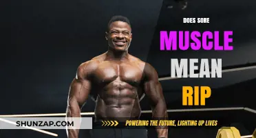 Sore Muscles After Workouts: Does Pain Indicate Muscle Growth?