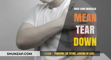 Sore Muscles vs. Muscle Tear: Understanding Post-Workout Pain