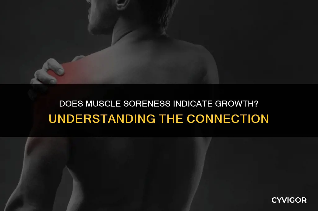 does sore muscles mean they are getting bigger