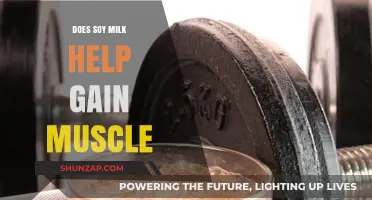 Soy Milk and Muscle Gain: Unlocking Protein Power for Fitness