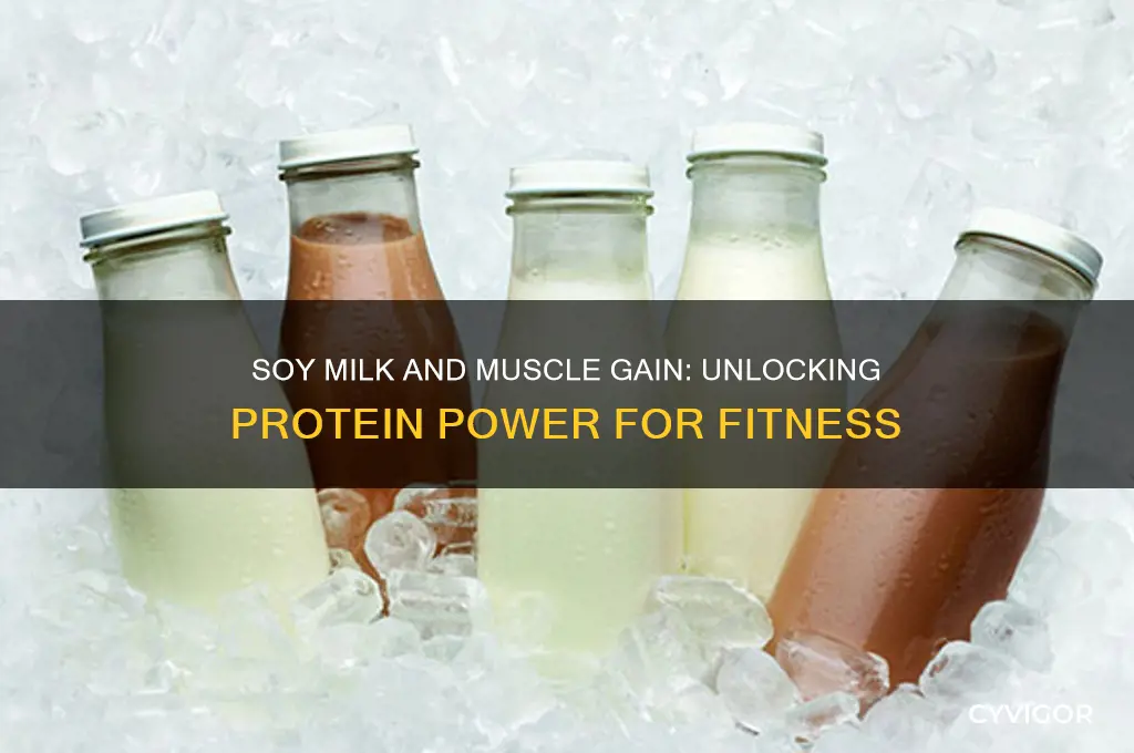 does soy milk help gain muscle